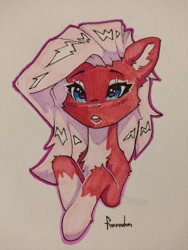 Size: 960x1280 | Tagged: safe, artist:freeedon, derpibooru import, oc, oc only, earth pony, pony, chest fluff, solo, traditional art