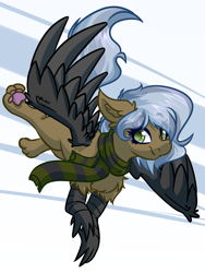 Size: 3000x4000 | Tagged: safe, artist:witchtaunter, derpibooru import, oc, oc only, griffon, chest fluff, clothes, commission, ear fluff, ears, flying, griffon oc, happy, scarf, simple background, smilinh, solo