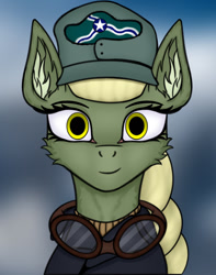 Size: 600x761 | Tagged: safe, artist:zweihander, derpibooru import, oc, oc only, earth pony, pony, equestria at war mod, bust, clothes, ear fluff, ears, female, glasses, hat, mare, portrait, solo