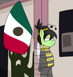 Size: 3060x3240 | Tagged: safe, derpibooru import, oc, oc only, oc:anon filly, pony, animal costume, bee costume, clothes, costume, female, filly, foal, meme, mexican flag, mexico, ponified, ponified meme, solo