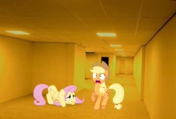 Size: 750x507 | Tagged: safe, artist:benpictures1, applejack, fluttershy, earth pony, pegasus, pony, applejack's hat, carpet, clothes, cowboy hat, cute, duo, duo female, female, hallway, hat, irl, jackabetes, lights, mare, photo, ponies in real life, scared, shyabetes, the backrooms