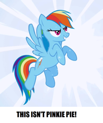 Size: 692x828 | Tagged: safe, derpibooru import, rainbow dash, pegasus, pony, captain obvious, implied pinkie pie, meme, op is right, yes