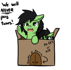 Size: 639x631 | Tagged: safe, artist:neuro, derpibooru import, oc, oc only, oc:anon filly, earth pony, pony, box, cardboard, cardboard box, dialogue, duo, female, filly, foal, open mouth, simple background, tax evasion, white background