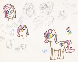 Size: 2363x1869 | Tagged: safe, artist:elidiotadelaesquina, derpibooru import, oc, oc only, oc:kurntis, earth pony, heterochromia, sketch, traditional art