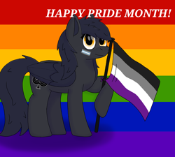 Size: 5000x4500 | Tagged: safe, artist:suidian, derpibooru import, oc, pegasus, asexual, asexual pride flag, demiboy flag, flag, pride, pride flag, pride month, rainbow