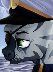 Size: 1281x1724 | Tagged: safe, artist:aaronmk, derpibooru import, zebra, equestria at war mod, bust, clothes, eyepatch, hat, ocean, portrait, sky, uniform, water, wave