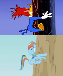 Size: 753x910 | Tagged: safe, derpibooru import, edit, screencap, rainbow dash, bird, pegasus, pony, griffon the brush off, season 1, crash, cute, dashabetes, eyes closed, female, male, mare, mountain, rainbow crash, slapstick, the new woody woodpecker show, wood, woodpecker, woody woodpecker, woody's ship of ghouls