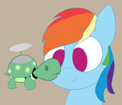 Size: 3344x2862 | Tagged: safe, artist:izzy64, derpibooru import, rainbow dash, tank, turtle