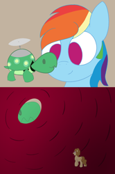 Size: 4000x6011 | Tagged: safe, artist:izzy64, derpibooru import, rainbow dash, tank, oc, oc:dust bunny, earth pony, pony, turtle, earth pony oc, hooves, micro, nostrils, tiny, tiny ponies