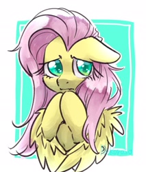 Size: 1763x2066 | Tagged: safe, artist:yukkuri_yu_yu, derpibooru import, fluttershy, pegasus, pony, ears, female, floppy ears, hooves together, looking at you, mare, simple background, solo, white background, wings