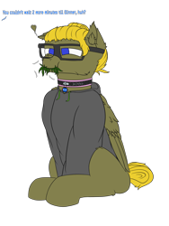 Size: 3000x4000 | Tagged: safe, artist:donnik, derpibooru import, oc, oc:blue, oc:donnik, pegasus, pony, clothes, collar, eating, glasses, grass, hoodie, offscreen character, simple background, solo, transparent background