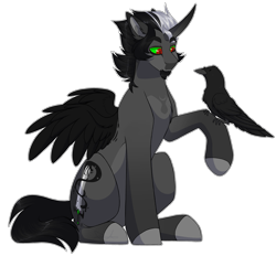 Size: 2805x2600 | Tagged: safe, artist:purplegrim40, derpibooru import, oc, oc only, alicorn, bird, crow, pony, alicorn oc, colored hooves, horn, male, simple background, solo, stallion, transparent background, wings