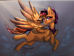 Size: 4160x3120 | Tagged: safe, artist:jsunlight, derpibooru import, oc, pegasus, pony, solo