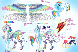 Size: 1280x850 | Tagged: safe, artist:malinraf1615, derpibooru import, rainbow dash, soarin', pegasus, pony, alternate design, alternate hairstyle, chest fluff, coat markings, colored wings, ear fluff, ears, female, grin, heart, jewelry, leg fluff, leonine tail, male, mare, multicolored wings, one eye closed, redesign, reference sheet, ring, shipping, smiling, soarindash, solo focus, stallion, straight, tail, unshorn fetlocks, wedding ring, wings, wink