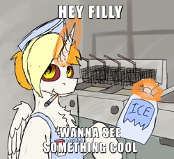 Size: 740x678 | Tagged: safe, artist:reddthebat, derpibooru import, oc, oc only, oc:dyx, alicorn, pony, bag, caption, chest fluff, cigarette, female, fryer, ice, image macro, mare, smoking, solo, talking to viewer, text, this will end in pain