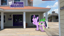 Size: 1192x670 | Tagged: safe, edit, editor:undeadponysoldier, photographer:undeadponysoldier, spike, twilight sparkle, twilight sparkle (alicorn), alicorn, dragon, pony, confused, dragons in real life, edited photo, female, gift shop, male, mare, myrtle beach, ponies in real life, purpleologist, shop, sign, summer, thinking, vacation