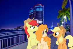 Size: 2700x1800 | Tagged: safe, artist:cloudyglow, artist:itv-canterlot, artist:mlplover94, derpibooru import, applejack, bright mac, pear butter, earth pony, pony, cowboy hat, crying, father and child, father and daughter, female, florida, hat, high res, irl, male, mare, mother and child, mother and daughter, parent and child, photo, ponies in real life, stallion, stetson, tears of joy, teary eyes, west palm beach