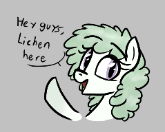 Size: 239x192 | Tagged: safe, artist:seafooddinner, derpibooru import, oc, oc only, oc:lichen, pony, aggie.io, bust, dialogue, female, gray background, lowres, mare, open mouth, pun, raised hoof, raised leg, simple background, smiling, snowpony (species), taiga pony, talking, yakutian horse