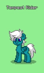 Size: 1080x1802 | Tagged: safe, derpibooru import, oc, oc:tempest rider, pegasus, pony, male, pony town