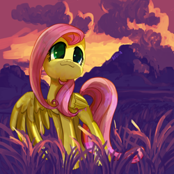 Size: 1600x1600 | Tagged: safe, artist:brella, derpibooru import, fluttershy, pegasus, pony, cloud, cute, female, mare, shyabetes, solo