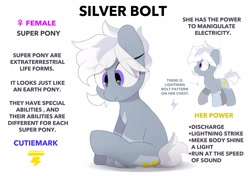Size: 2064x1457 | Tagged: safe, artist:mochi_nation, derpibooru import, oc, oc only, oc:silver bolt, earth pony, pony, coat markings, engrish, eye clipping through hair, female, mare, misspelling, reference sheet, simple background, sitting, solo, white background
