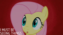 Size: 1280x720 | Tagged: safe, derpibooru import, edit, edited screencap, editor:quoterific, screencap, fluttershy, pegasus, pony, season 2, the return of harmony, :o, female, mare, open mouth, solo, text