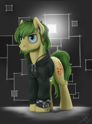 Size: 1500x2021 | Tagged: safe, artist:1jaz, derpibooru import, oc, oc only, earth pony, pony, solo