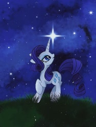 Size: 675x900 | Tagged: safe, artist:stacy_165cut, derpibooru import, rarity, pony, unicorn, female, grass, horn, looking back, mare, night, night sky, outdoors, raised hoof, raised leg, sky, solo, stars