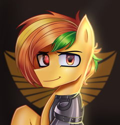 Size: 2800x2920 | Tagged: safe, artist:opal_radiance, derpibooru import, oc, pegasus, pony, solarist, solo