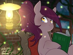 Size: 1600x1200 | Tagged: safe, artist:potetecyu_to, derpibooru import, oc, oc only, earth pony, pony, book, female, hoof hold, lantern, looking at you, mare, solo, window