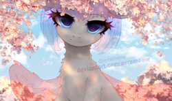 Size: 2000x1185 | Tagged: safe, artist:avrameow, derpibooru import, oc, pony, cherry blossoms, commission, flower, flower blossom, looking at you, sky, solo, sunlight, your character here