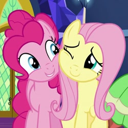 Size: 689x689 | Tagged: safe, derpibooru import, screencap, fluttershy, meadowbrook, pinkie pie, earth pony, pegasus, pony, season 7, shadow play, cheek to cheek, cropped, cute, diapinkes, duo focus, female, offscreen character, one eye closed, shyabetes, smiling, trio, trio female