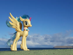 Size: 4128x3096 | Tagged: safe, artist:dingopatagonico, derpibooru import, princess skystar, classical hippogriff, hippogriff, my little pony: the movie, irl, photo, solo, toy