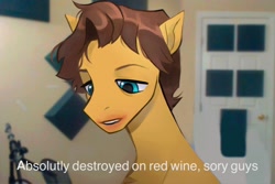 Size: 2048x1366 | Tagged: safe, artist:draw3, derpibooru import, caramel, earth pony, pony, alcohol, dialogue, drunk, jerma, jerma985, male, meme, microphone, microphone stand, ponified, ponified meme, real life background, solo, stallion, text, wine, youtuber