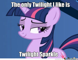 Size: 640x492 | Tagged: safe, derpibooru import, edit, edited screencap, screencap, twilight sparkle, unicorn twilight, pony, unicorn, artifact, caption, female, image macro, impact font, meme, memecenter, smiling, solo, text, twilight (series), watermark