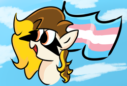 Size: 3160x2140 | Tagged: safe, artist:beepo, derpibooru import, oc, oc only, oc:beepo, pegasus, pony, female, mare, pride, pride flag, solo, trans flag, transgender