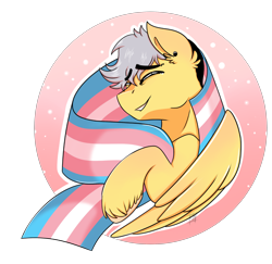 Size: 2312x2244 | Tagged: safe, artist:shamy-crist, derpibooru import, oc, oc:gala, pegasus, pony, pride, pride flag, solo