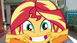 Size: 1920x1080 | Tagged: safe, artist:rarityvrymercollectiveoriginals, derpibooru import, sunset shimmer, better together, equestria girls, rollercoaster of friendship, irl, photo, sunset shimmer is best facemaker