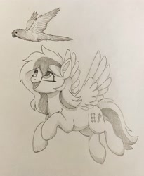 Size: 2619x3199 | Tagged: safe, artist:luminousdazzle, derpibooru import, oc, oc only, oc:kezzie, bird, parrot, pegasus, duo, female, flying, looking up, mare, parakeet, pegasus oc, pet, smiling, traditional art