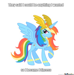 Size: 894x906 | Tagged: safe, derpibooru import, rainbow dash, alicorn, pony, alicornified, artifact, caption, image macro, impact font, meme, memecenter, princess, race swap, simple background, solo, text, watermark, white background