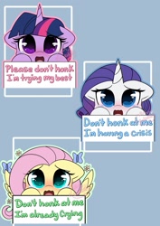 Size: 1449x2048 | Tagged: safe, artist:sakukitty, derpibooru import, fluttershy, rarity, twilight sparkle, pegasus, pony, unicorn, bumper sticker, dialogue, looking at you, sad, scared, spread wings, teary eyes, wings