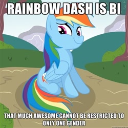 Size: 400x400 | Tagged: safe, derpibooru import, rainbow dash, pegasus, pony, artifact, bisexuality, caption, female, headcanon, image macro, impact font, meme, sexuality headcanon, solo, text