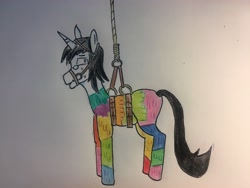 Size: 4032x3024 | Tagged: safe, artist:schwarz, derpibooru import, oc, oc only, oc:schwarz, unicorn, bondage, bridle, hanging, piñata, solo, tack, traditional art