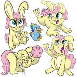 Size: 2943x2944 | Tagged: safe, artist:doodledonutart, derpibooru import, fluttershy, rainbow dash, bird, rabbit, birdified, bunnified, bunnyshy, cute, rainbird dash, shyabetes, species swap