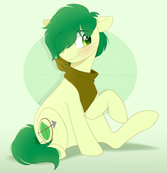 Size: 1065x1100 | Tagged: safe, artist:higglytownhero, derpibooru import, oc, oc only, oc:emerald mask, earth pony, pony, green background, male, simple background, solo, stallion