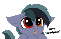Size: 1280x833 | Tagged: safe, artist:pegamutt, derpibooru import, oc, oc only, oc:scrimmy, bat pony, pony, animated, bat pony oc, begging, commission, cute, dialogue, fangs, heterochromia, looking at you, male, ocbetes, simple background, solo, stallion, transparent background, two-frame gif, ych result