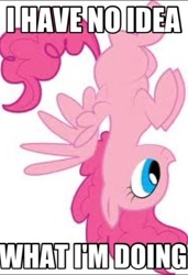 Size: 419x612 | Tagged: safe, derpibooru import, pinkie pie, pegasus, pony, artifact, caption, female, i have no idea what i'm doing, image macro, impact font, meme, race swap, simple background, solo, text, upside down, white background