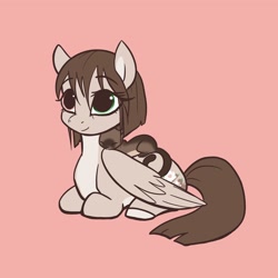 Size: 2048x2048 | Tagged: safe, artist:pfeffaroo, derpibooru import, oc, oc only, cat, pegasus, pony, heterochromia, pink background, simple background, solo