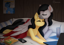 Size: 1920x1341 | Tagged: safe, artist:ottava, derpibooru import, oc, oc only, pegasus, airpods, chips, computer, condoms, covering, drink, eyes closed, female, food, hug, laptop computer, male, mare, nutella, pegasus oc, phone, pillow, poster, romantic, stallion, winghug, wings