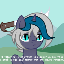 Size: 1000x1000 | Tagged: safe, artist:vizirka, derpibooru import, oc, oc:elizabat stormfeather, alicorn, bat pony, bat pony alicorn, pony, alicorn oc, bat pony oc, bat wings, cartoon violence, commission, dialogue, female, horn, knife, mare, meme, ponified, ponified meme, solo, sword, this is fine, unamused, weapon, wings, ych result